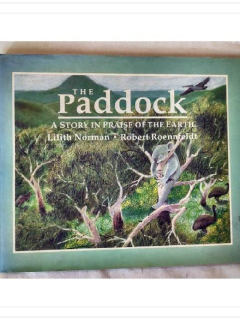 The Paddock A Story in Praise of the Earth Childrens Nature Book Knopf HC